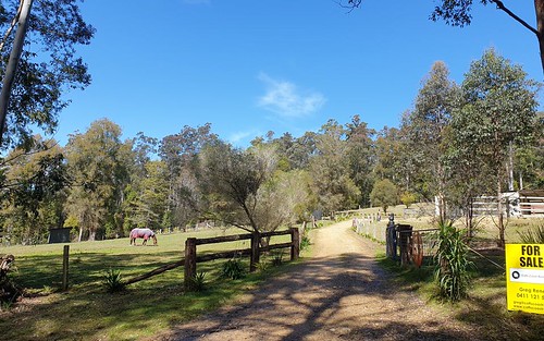 697 Camp Creek Rd, Lowanna NSW