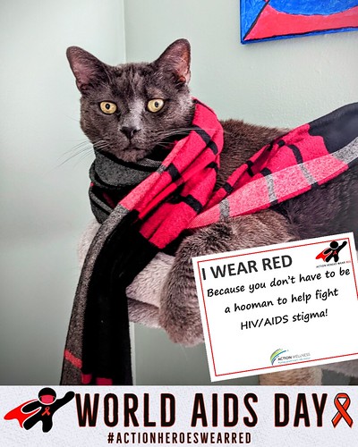 World AIDS Day_AHWR Action Pets Cole-1