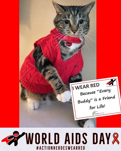 World AIDS Day_AHWR Action Pets Buddy-1