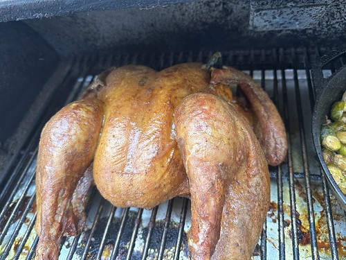 Thanksgiving Turkey: Smoked on the RecTeq by Wesley Fryer, on Flickr