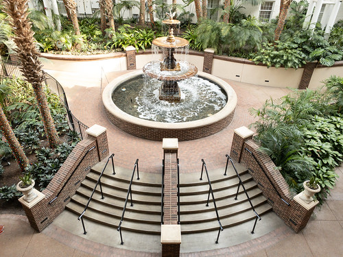 Water Fountain - Gaylord Opryland Resort Hotel