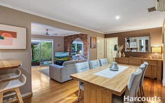 206 Hawthorn Road, Vermont South VIC