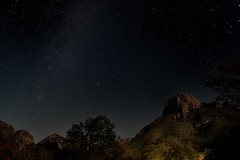 There Are Billions of Stars (Big Bend National Park)