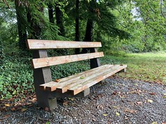 Arboretum bench