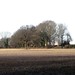 frosty stubble field near Chipperfield