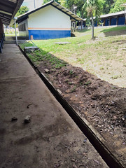 30.11.22 - Prefeitura de Manaus trabalha na limpeza e desobstrução de caixas coletoras no bairro Parque Dez de Novembro