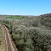 railway through Luxulyan Valley