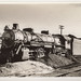 "M.O.P. # 1302 (2-8-2) built by Lima in 1915; at Houston Texas. Burns lignite fuel. 1934. 2623" - verso inscription