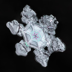 Snowflake 913