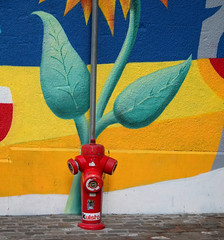 Wall Art and the Hydrant
