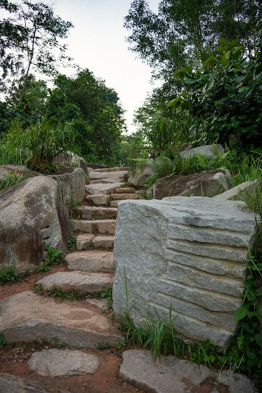 Rock stairs on the way to colugo deck<br/>© <a href="https://flickr.com/people/34877108@N06" target="_blank" rel="nofollow">34877108@N06</a> (<a href="https://flickr.com/photo.gne?id=52549346897" target="_blank" rel="nofollow">Flickr</a>)