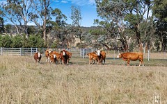 Lot 1, 595 Inverary Road, Paddys River NSW