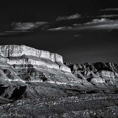 The Sierra del Carmen mountains of Big Bend - rendered in infrared black and white