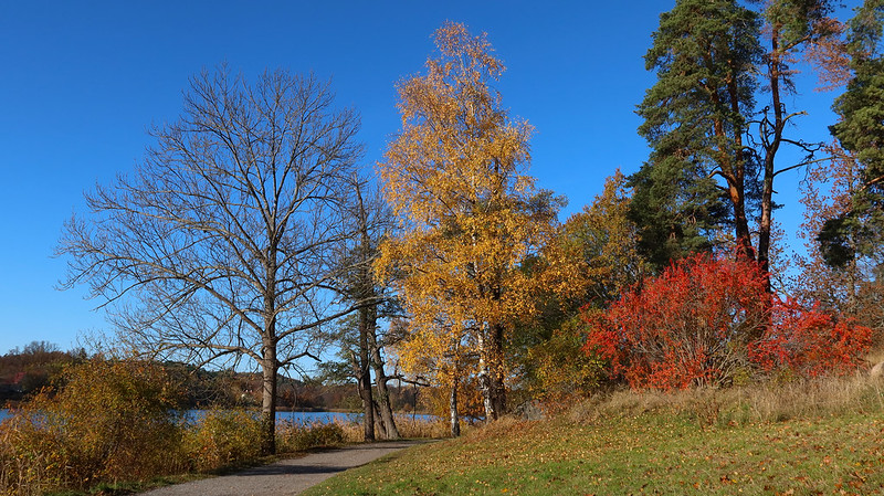 Autumn in Stockholm<br/>© <a href="https://flickr.com/people/34884355@N00" target="_blank" rel="nofollow">34884355@N00</a> (<a href="https://flickr.com/photo.gne?id=52557026410" target="_blank" rel="nofollow">Flickr</a>)