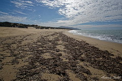 Spiaggia di Piscinas (Arbus)