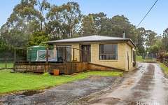 38 Marion Bay Road, Copping TAS