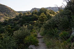 Walking the Lost Mine Trail in the Morning Hours in Big Bend National Park
