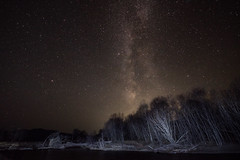 Mongolian night sky