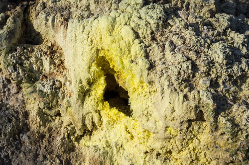 Sulfur Hole, Hell's Gate Geothermal Reserve, New Zealand