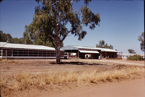 Fitzroy Crossing, Western Australia - Aug 1962: A view of the lCrossing Inn on the banks of the Fitzroy River.