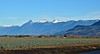 Chilliwack Mts. from No. 5 Rd