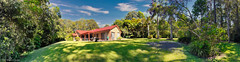 Raintrees Native and Rainforest Gardens, Diamond Beach, Mid North Coast, NSW,