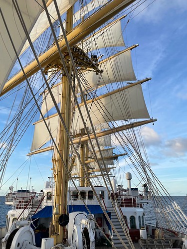 Royal Cipper under sail towards Dominica