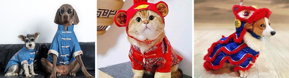 【新聞照片1】百搭不出錯的BiGDOD寵物工作室中國風唐裝。