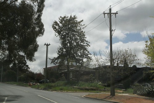 11 kV aerial power lines along Copland Drive in Spence, the low voltage cables run through the backyards of houses