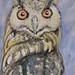 Eagle owl.