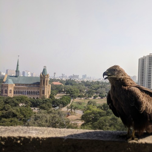 Hotel window hawk at the Karachi Marriott, with Frere Hall in the background
