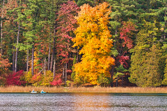 View From A Kayak:  Fall Majesty