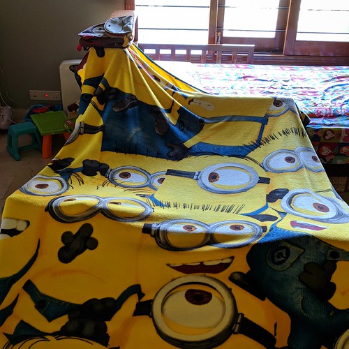 Today Middle Niece and I built a fort out of a minion blanket. Twice.
