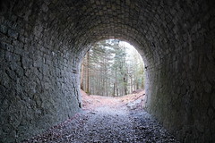 Tunnel de Pré Farnier @ Chemin de la Crémaillère