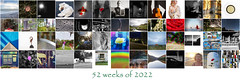 ... my year in pictures ...
