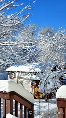 December 29, 2022 - Beautiful snow-coated landscape in Thornton. (Michelle Jones)