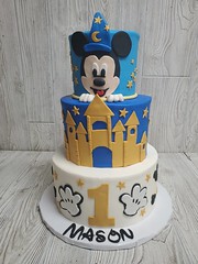 Mickey's Castle