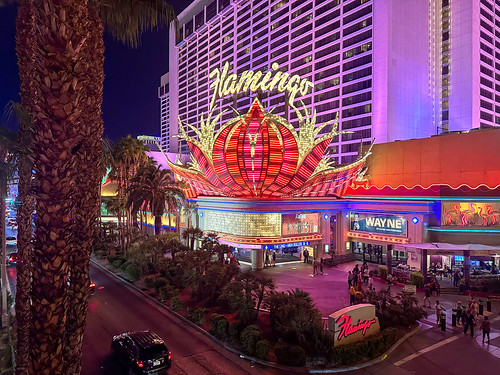 Flamingo Hotel & Casino