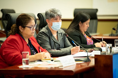 PRESIDENTE GIAMMATTEI DIRIGE REUNION CONAPREVI CASA PRESIDENCIAL by Gobierno de Guatemala