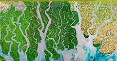 Sundarbans, Bangladesh - 6 January 2023