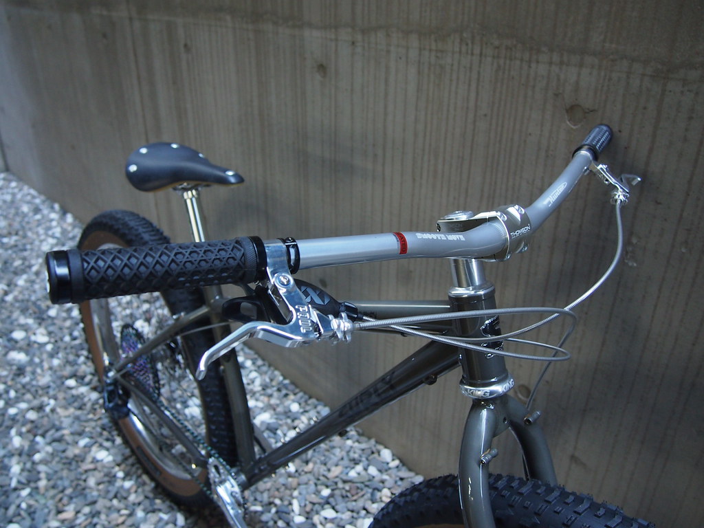 SURLY Karate Monkey Low Front