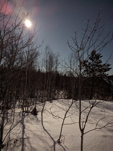 Bioski moonlight hike/snowshoe January 2023