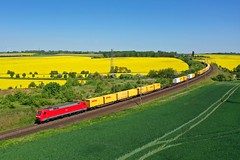 DB 152 010 + DHL Güterzug/goederentrein/freight train 50003 Großbeeren - Frankfurt (Main) Ost  - Ovelgünne