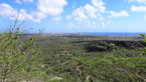 Bonaire Landscape Panorama