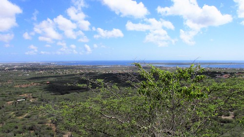 Bonaire Landscape Panorama