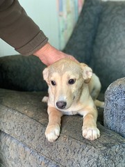 36719_TINY