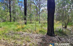 Lot 121, Moree Place, North Arm Cove NSW