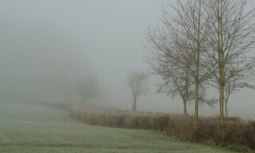 Frost mist