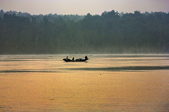 Sundarbans Foggy Morning