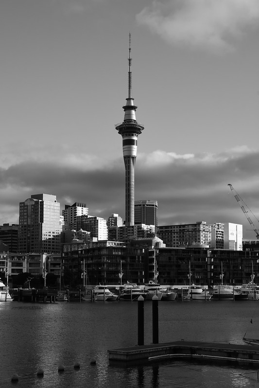 Central Auckland from Viaduct Basin<br/>© <a href="https://flickr.com/people/10278239@N03" target="_blank" rel="nofollow">10278239@N03</a> (<a href="https://flickr.com/photo.gne?id=52633394337" target="_blank" rel="nofollow">Flickr</a>)